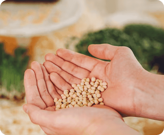 Agri Input