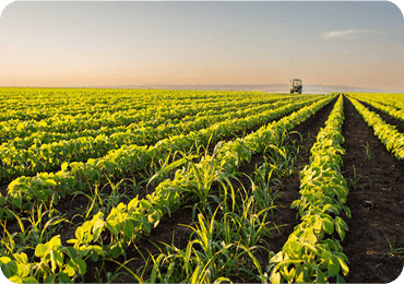 Sustainable Practices for Today's Farmers